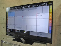 三菱 液晶テレビ LCD-A50BHR8