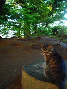 江ノ島探索