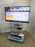 パナソニック 液晶テレビ TH-49CX800