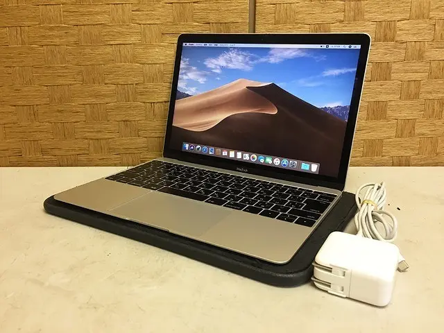 Apple MacBook A1534 Retina 12-inch Early 2016