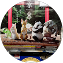 sky pick profile picture