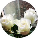 forte piano profile picture