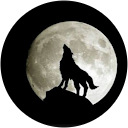 Kazuhiro Shimizu profile picture