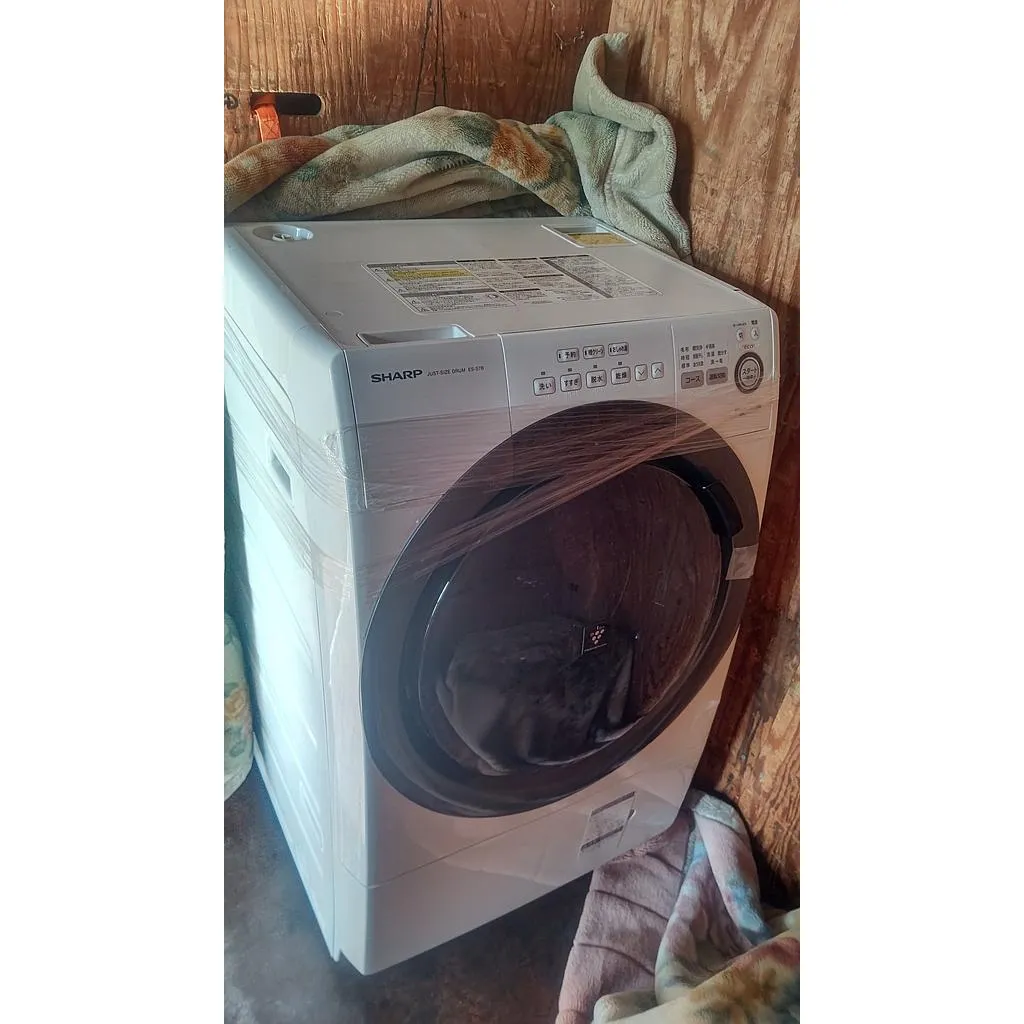 東京都 三鷹市にて ドラム式洗濯機 シャープ ES-S7B-WL 2018 ボルト有 を出張買取しました