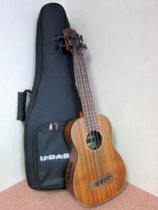 KALA カラ ウクレレベース UBASS UBASS-RMBL-FS ソフトケース付き