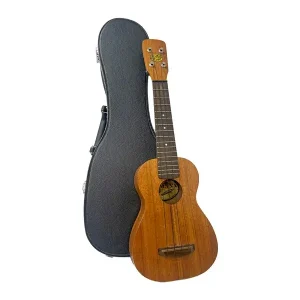 町田市にて ウクレレ MANA S-AK の出張買取をいたしました